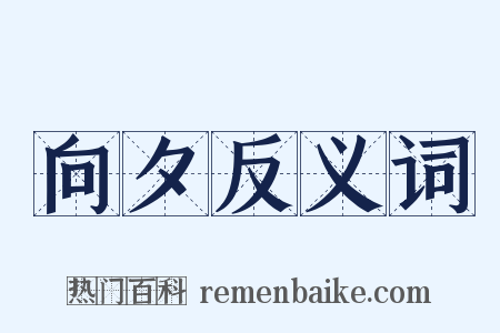 向夕反义词是什么意思的图片